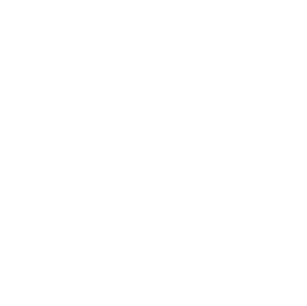 Star decoration